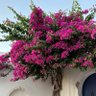 روح🦋 profil fotoğrafı