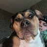 Profilbild von chunk da chiefer