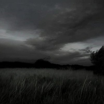 fynn718's profile picture