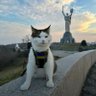 Марічка-піструн тобі на личко🤗's profile picture