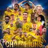 النصر العالمي 🏆 2026💛💛 的头像