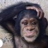 RUGERO profil fotoğrafı