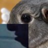 (not-so) Anon's profile picture