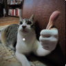 trucc trucc's profile picture