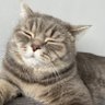Malibu profil fotoğrafı