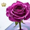 Фото профиля خاطف القلوووووب