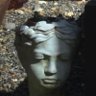 Bishop's profile picture