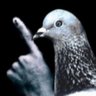 Profilbild von smudge