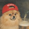 Pomeranian Enjoyer's profile picture