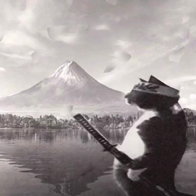 twekje's profile picture