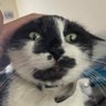 Profilbild von r