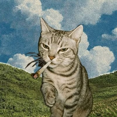 jdale103's profile picture