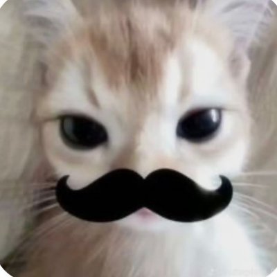 nina's profile picture