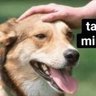 Mucha agitación's profile picture