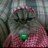 🇸🇦 عاصم's profile picture