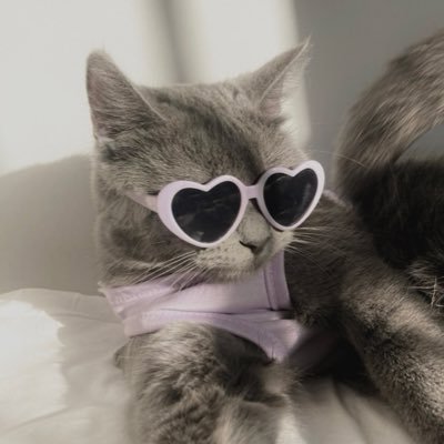Ctwyey's profile picture