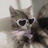 ⋆ 𝑪𝑻 ⋆˚𖤐🐈‍⬛'s profile picture