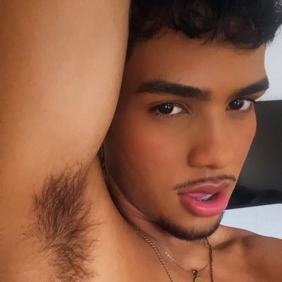LIPPE's profile picture