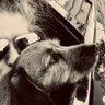 Lisa Brown's profile picture