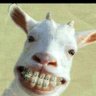 Profilbild von khoddad