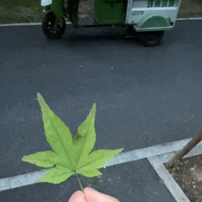 bogumallmylove's profile picture