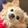 佐藤健's profile picture