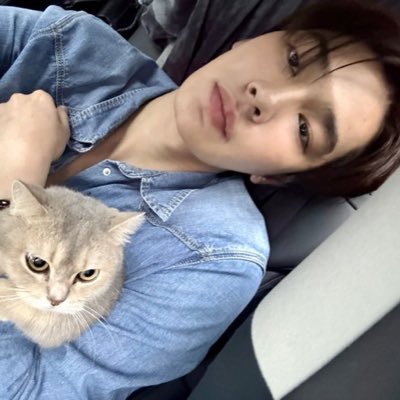 niv 🧸ྀི's profile picture