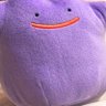 ちゃむとら's profile picture