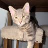 Susan's profile picture
