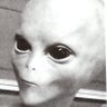 Average Human profil fotoğrafı