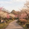 山崎芳明 的头像