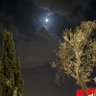 Фото профиля الصقر السعودي DF3