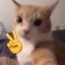😺's profile picture