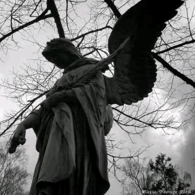 Song51697429's profile picture