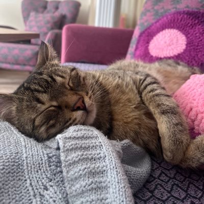 Tuğba's profile picture