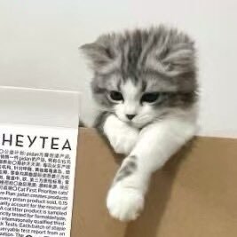 LDASBot's profile picture