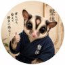 れんとん🪼整体モモンガ｜元麻雀プロ profil fotoğrafı