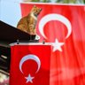 ByGundi profil fotoğrafı
