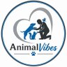 AnimalVibes 🇬🇧🇬🇧 的头像