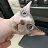Dmitry K's profile picture