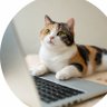 Purrrealist ( Φ ᴥ Φ )'s profile picture