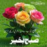 Profilbild von Naseem Ahmed