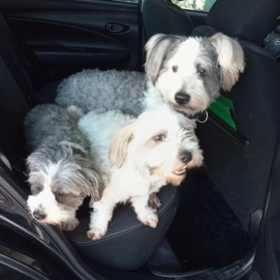rhee_52's profile picture