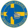 ScandiFella 🇸🇪🇪🇺🇺🇦's profile picture