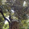 denchi profil fotoğrafı