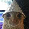 Koleta Huntsinger's profile picture