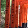 Фото профиля タンヤオ
