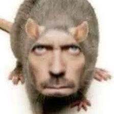 GeckoTheArtizty's profile picture
