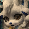 trr_nsfwc's profile picture