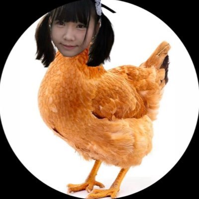 毛毛做的那些事's profile picture